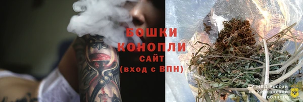 прущие грибы Аркадак