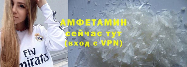 прущие грибы Аркадак