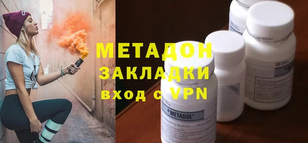 прущие грибы Аркадак