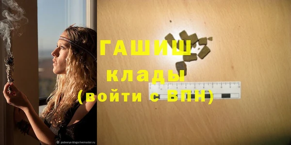 прущие грибы Аркадак