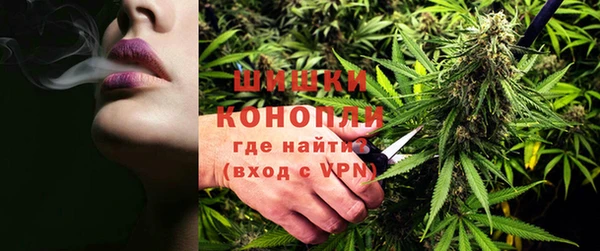 прущие грибы Аркадак