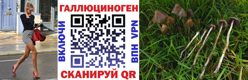 наркошоп  Солигалич  Галлюциногенные грибы Magic Shrooms 