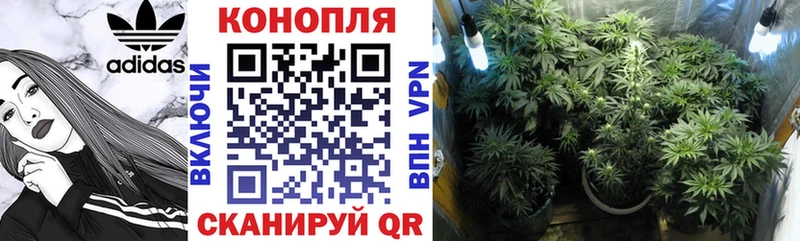 OMG ссылка  Солигалич  Конопля индика  даркнет сайт 